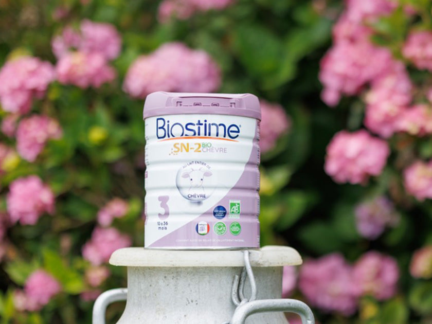 Boîte de lait infantile Biostime posée sur un récipient en métal, avec un fond de fleurs roses et de feuillage vert en extérieur.