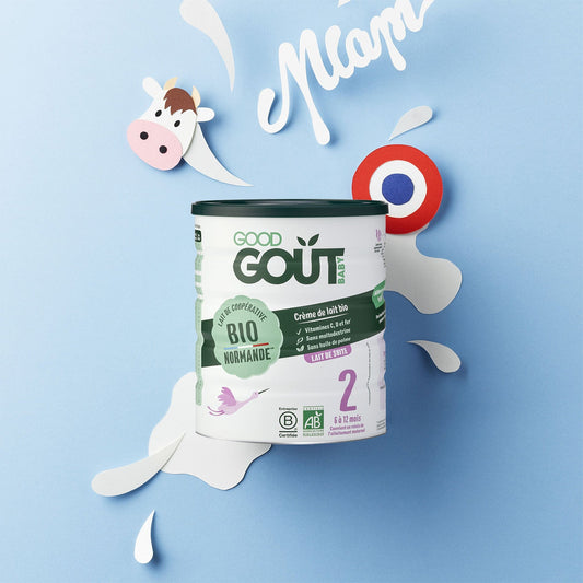 Lot de 3 Lait de suite Bio dès 6 mois