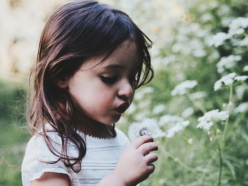Petite fille aux cheveux bruns, vêtue d'une robe blanche, souffle sur un pissenlit dans un champ verdoyant avec des fleurs blanches.