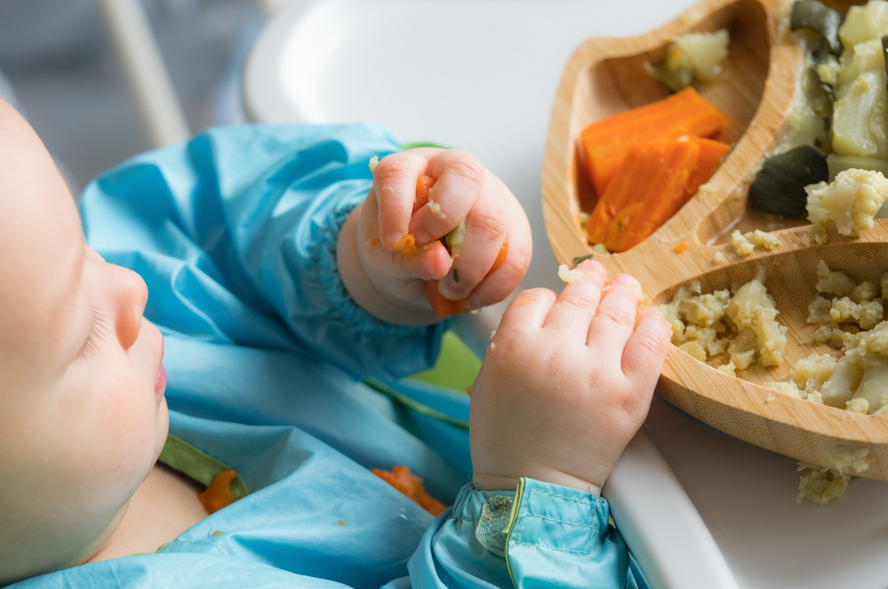 Un bébé mange un plat de légumes en utilisant ses mains, montrant un moment d’exploration et d’apprentissage alimentaire.