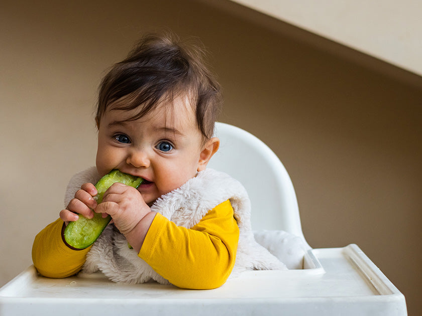 Un bébé assis dans une chaise haute mord une courgette , portant un vêtement jaune et un gilet blanc, dans un intérieur lumineux.